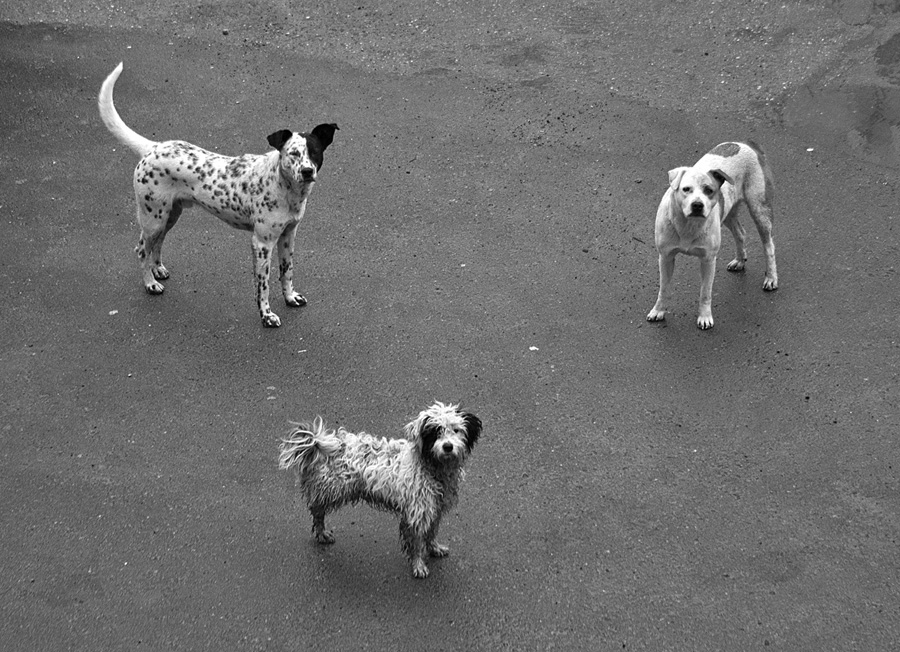 Не бермудский треугольник