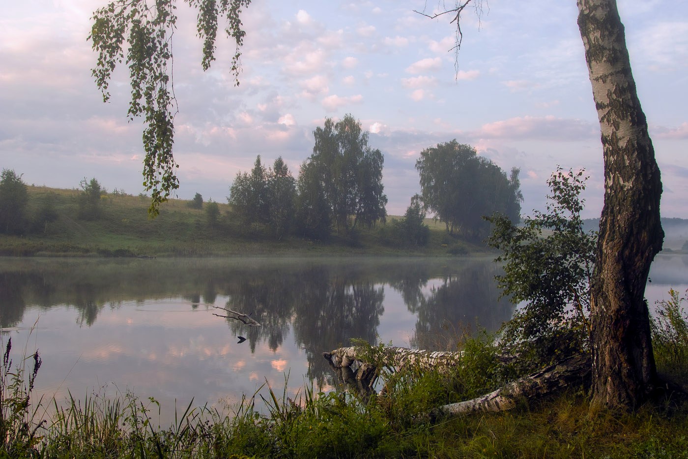 Утренняя грусть