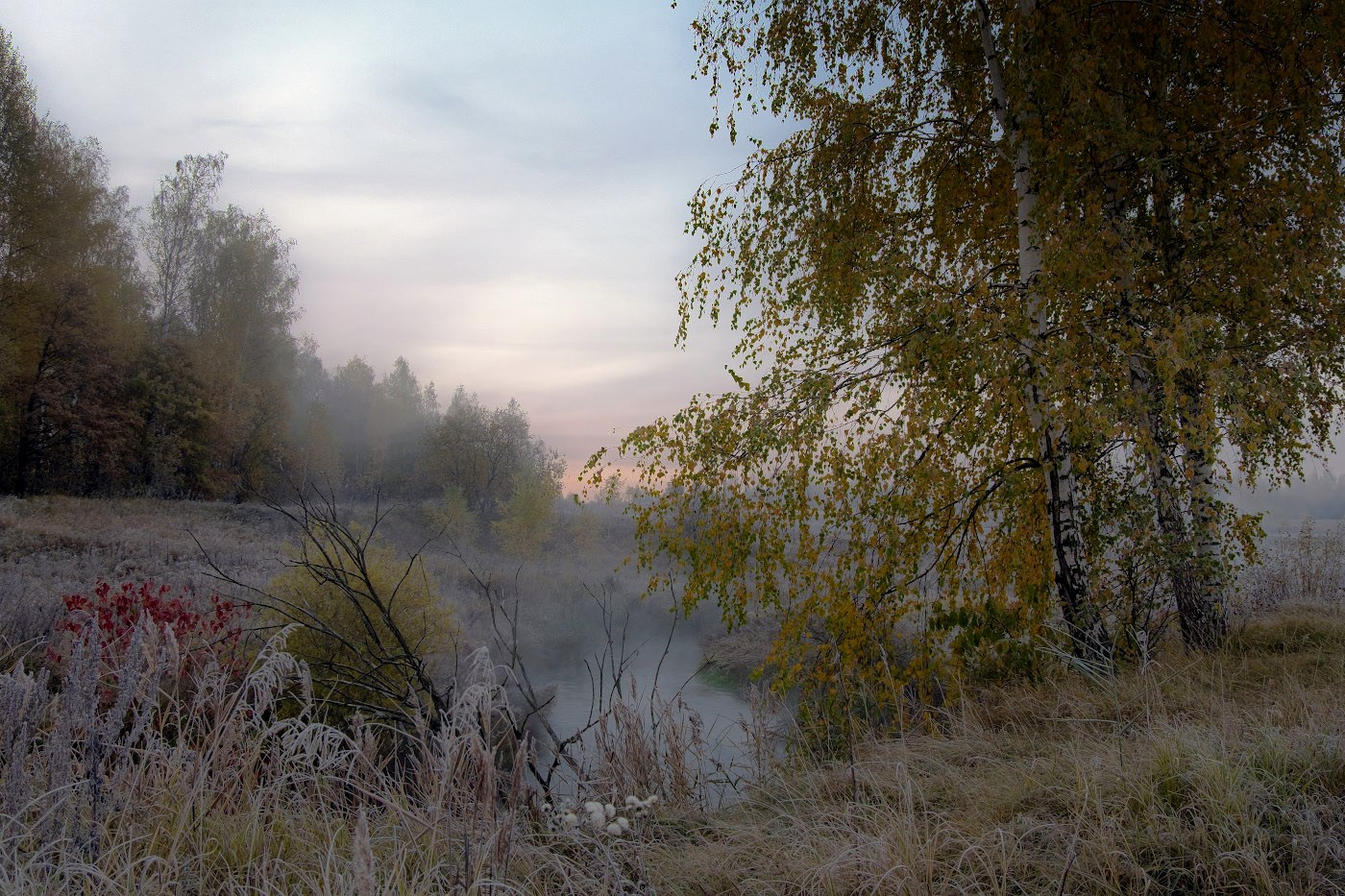 Подёрнутая инеем осень