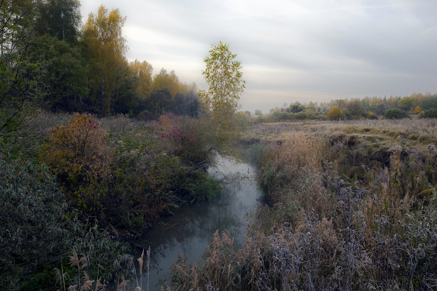 Краски наступающей осени