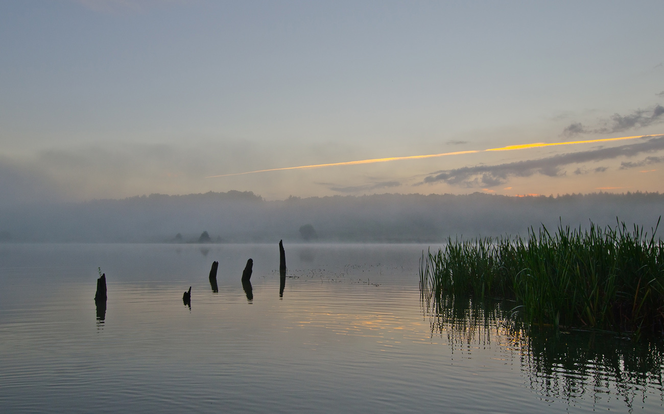 Золотая лента рассвета