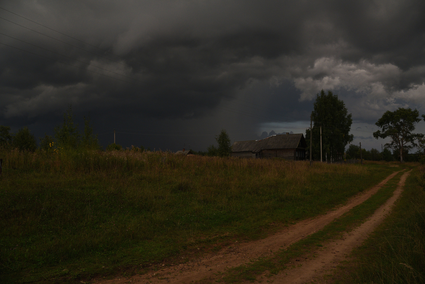 Тучи мглою небо кроют ...