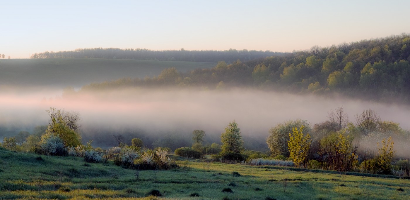 Розовый туман