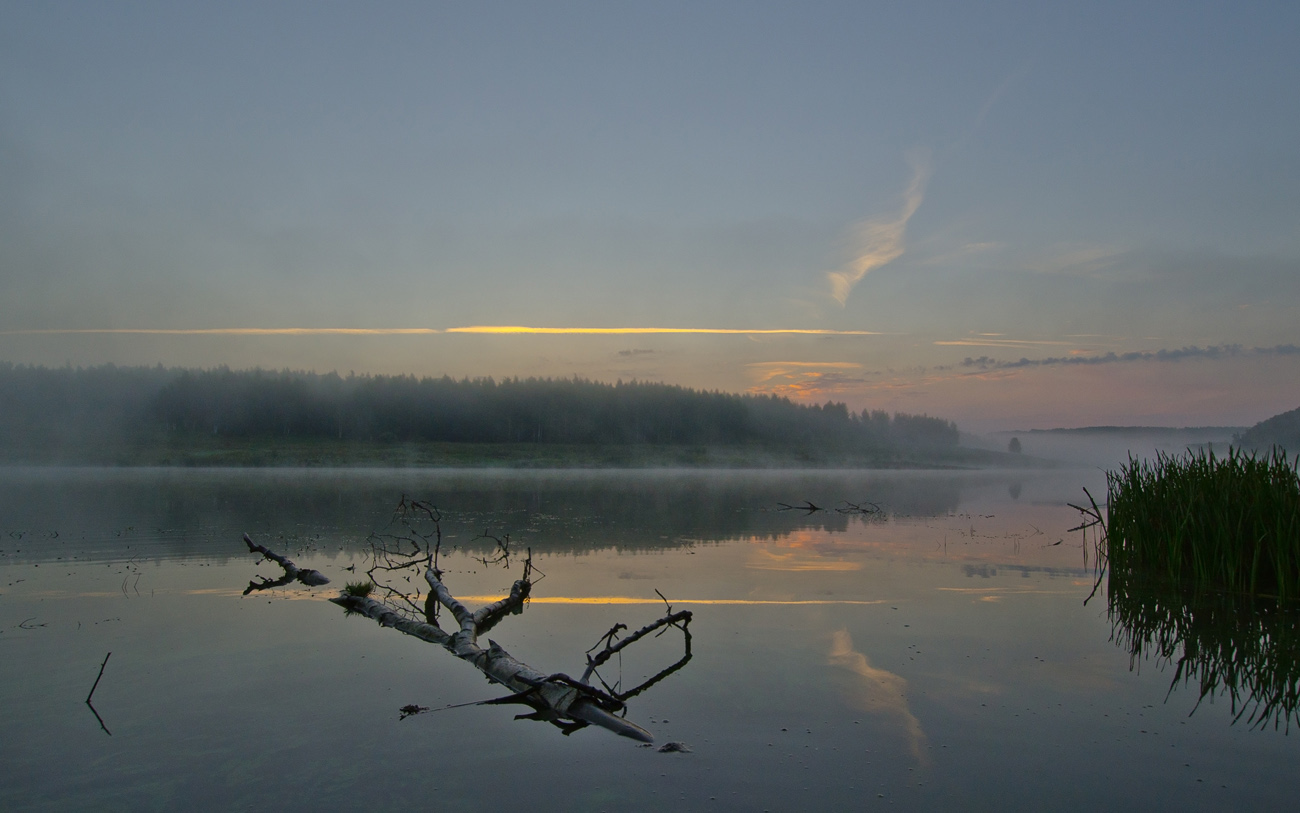 В тиши задремавшего утра