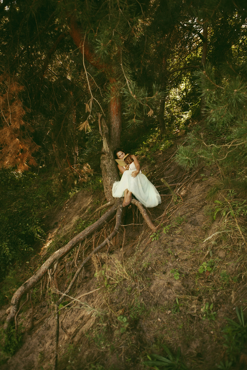 В погоне за белым кроликом...