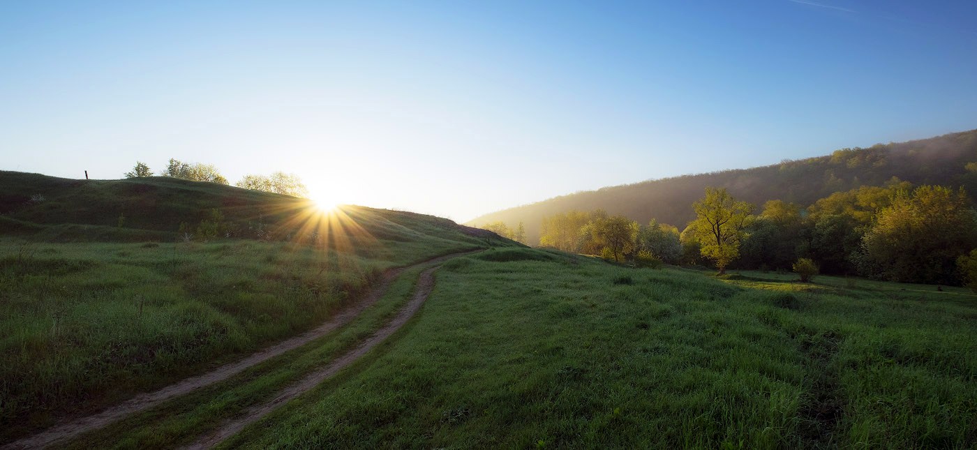 В рассветный туман