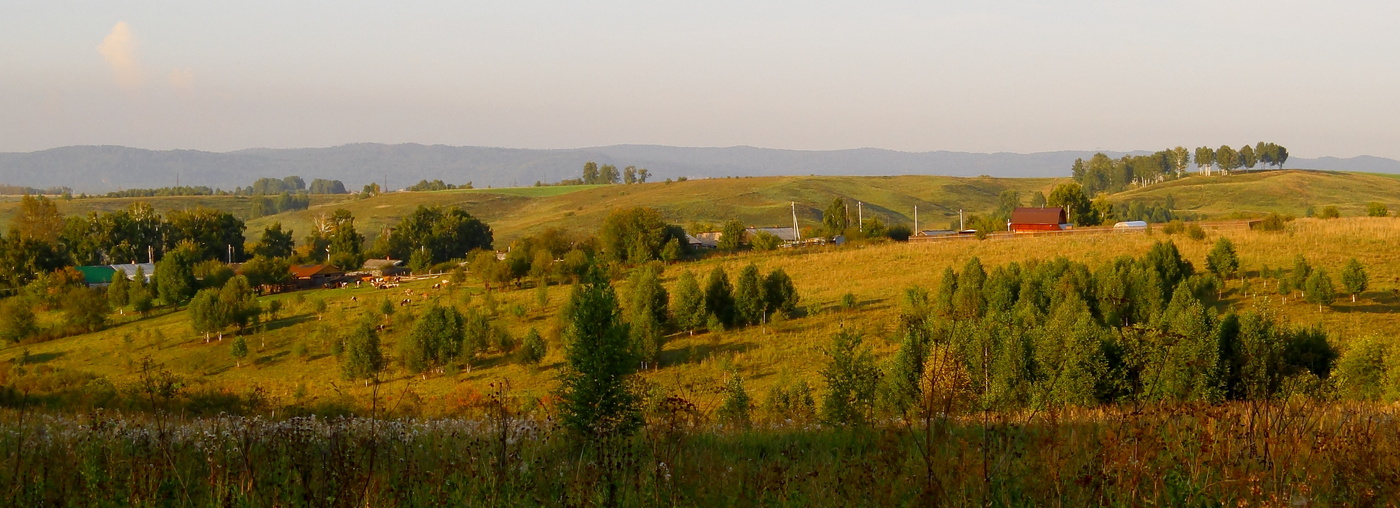 С началом осени !