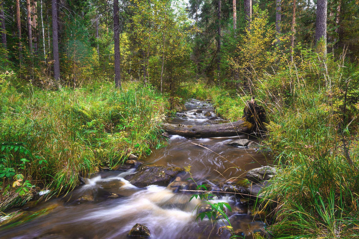 Начало осени