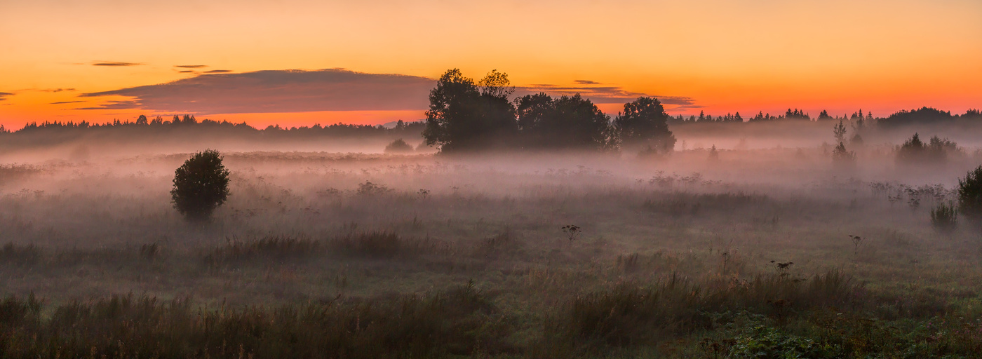 Туманные сумерки над лугом