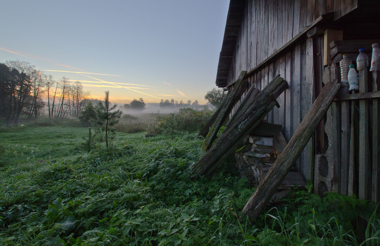 Поддерживающая терапия