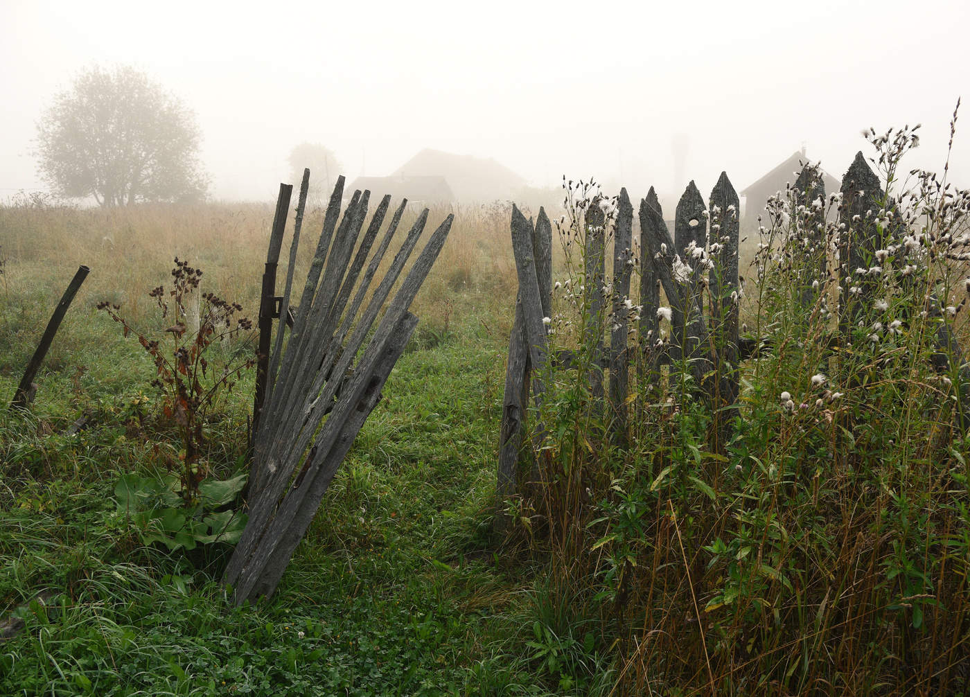 "Отвори мне калитку в иное..."