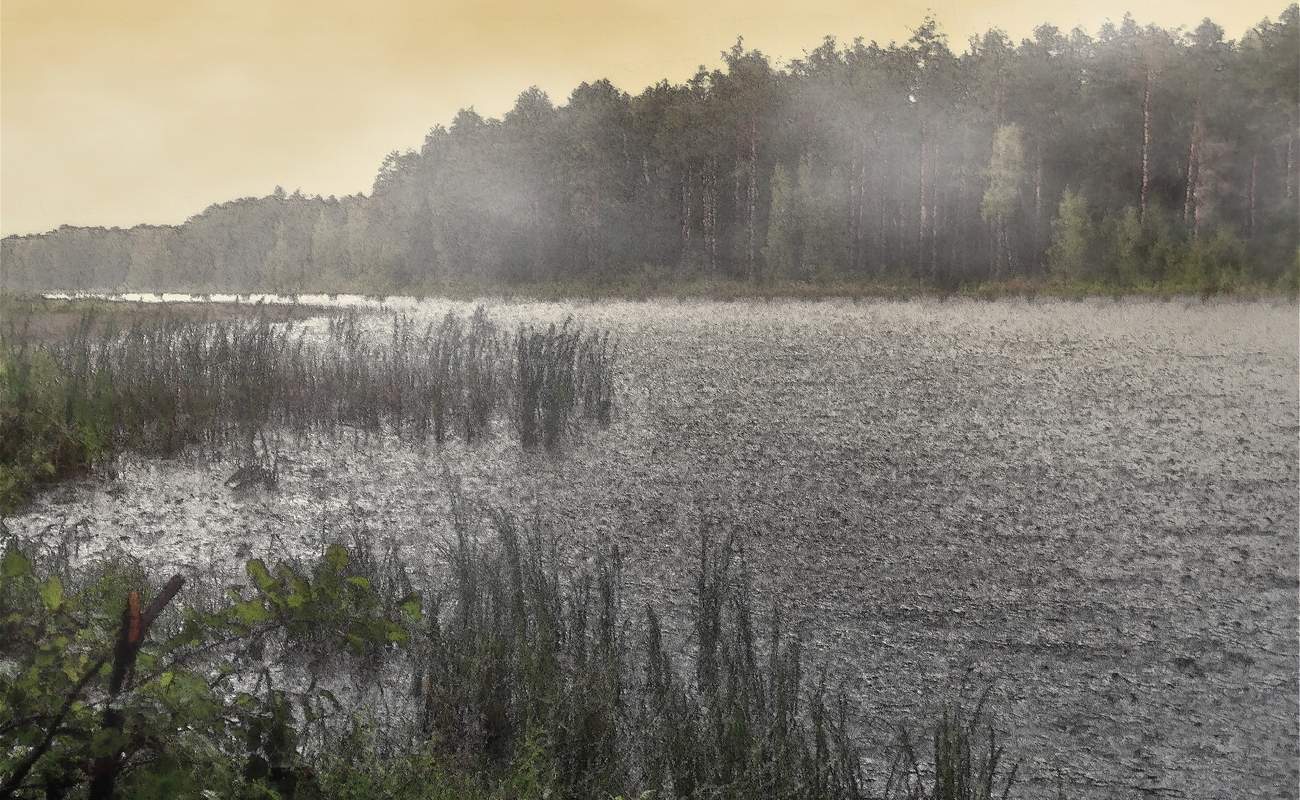 Ливень и солнце