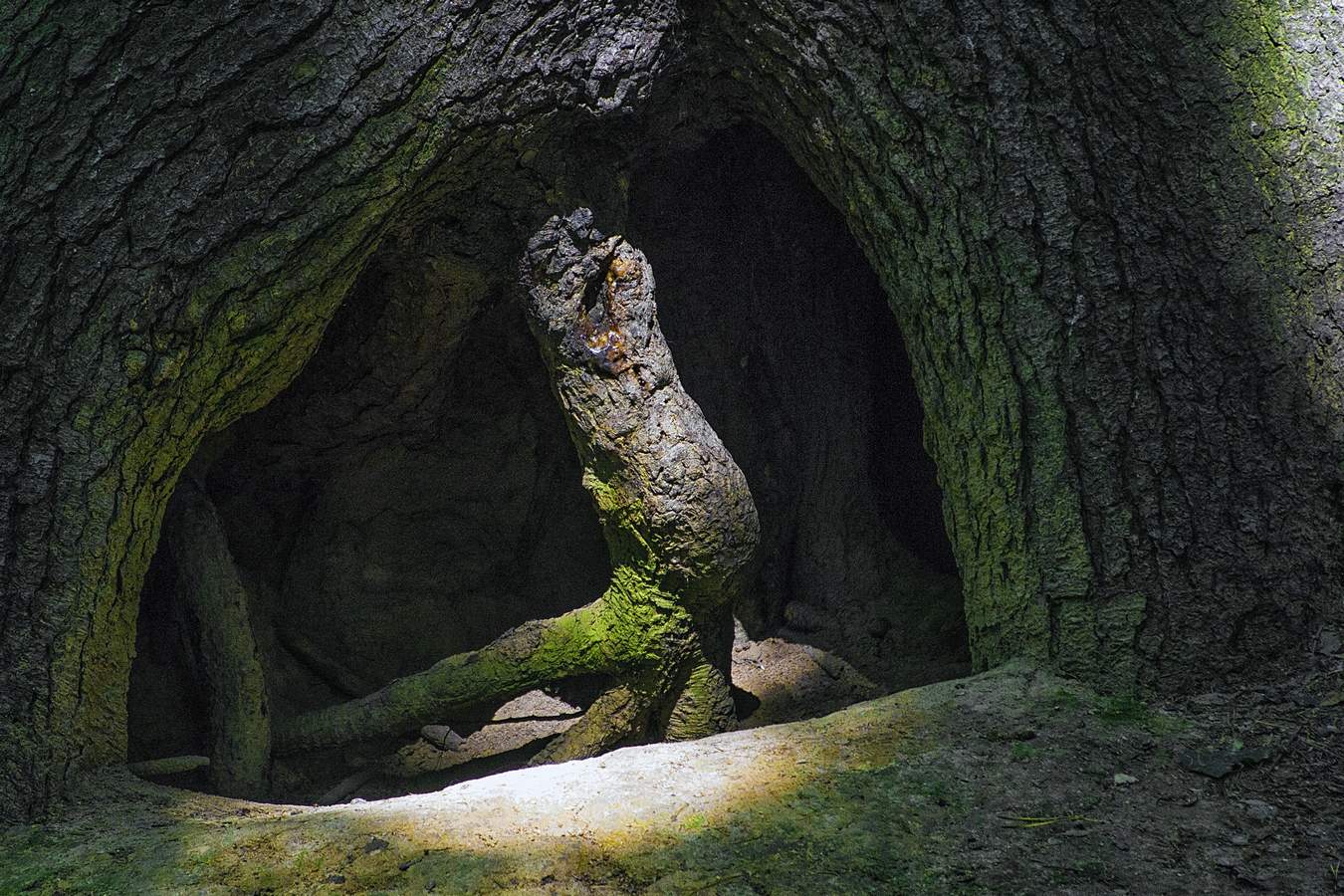 С добрым утром!