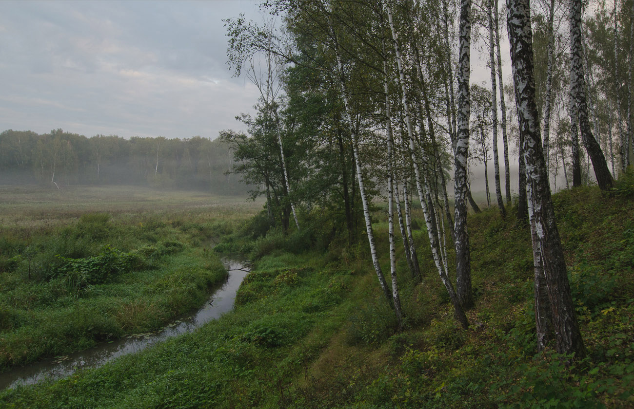 Ясная Поляна. Начало сентября