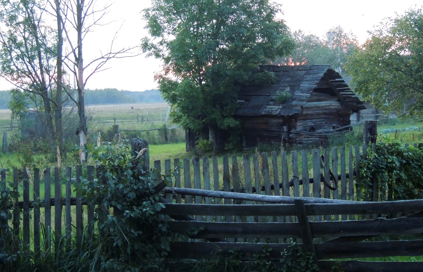 Деревенский вечер