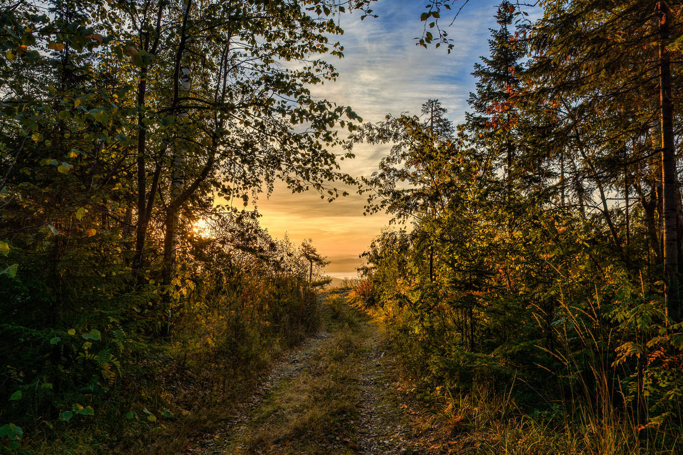 Дорога к свету