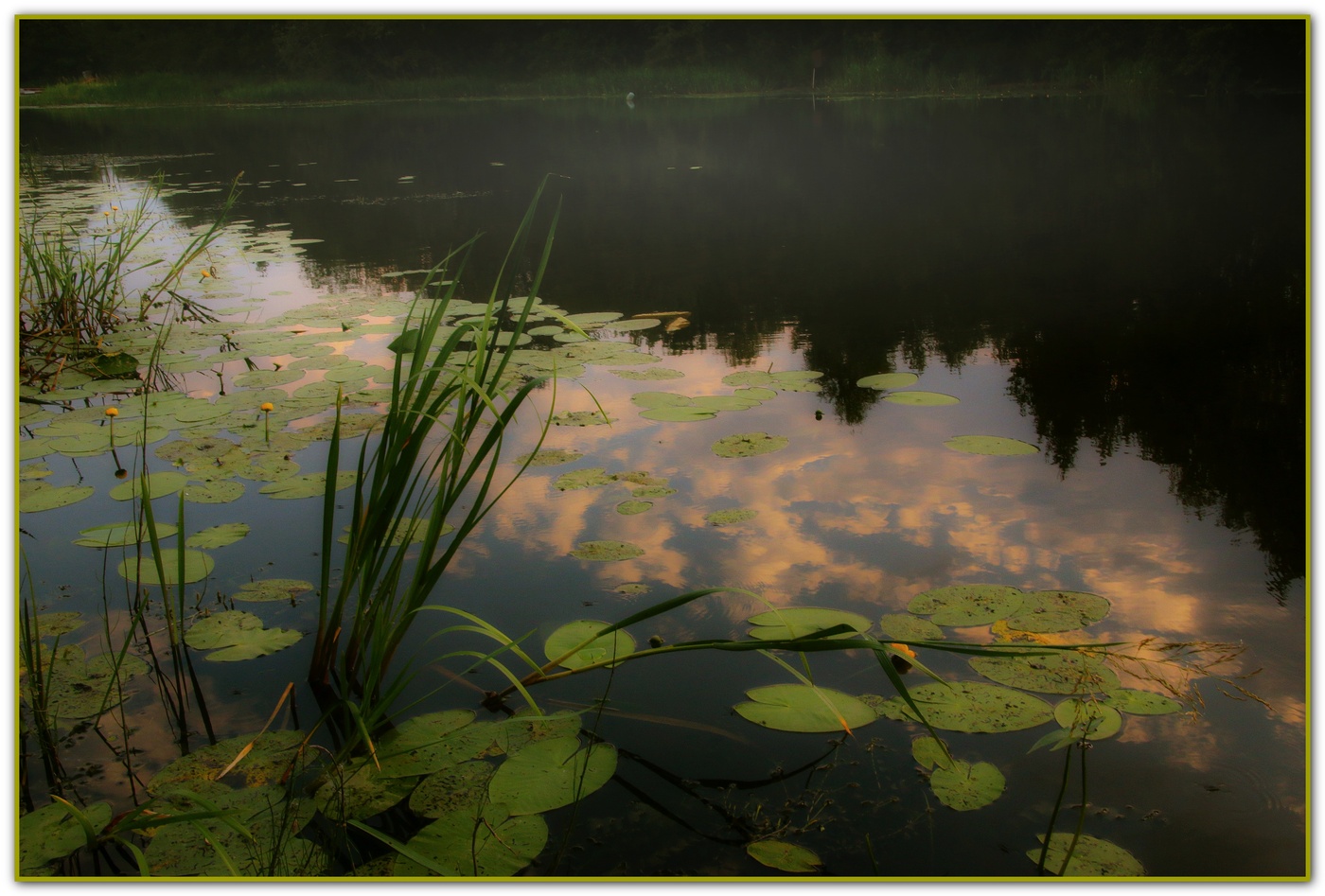 Туман над рекой