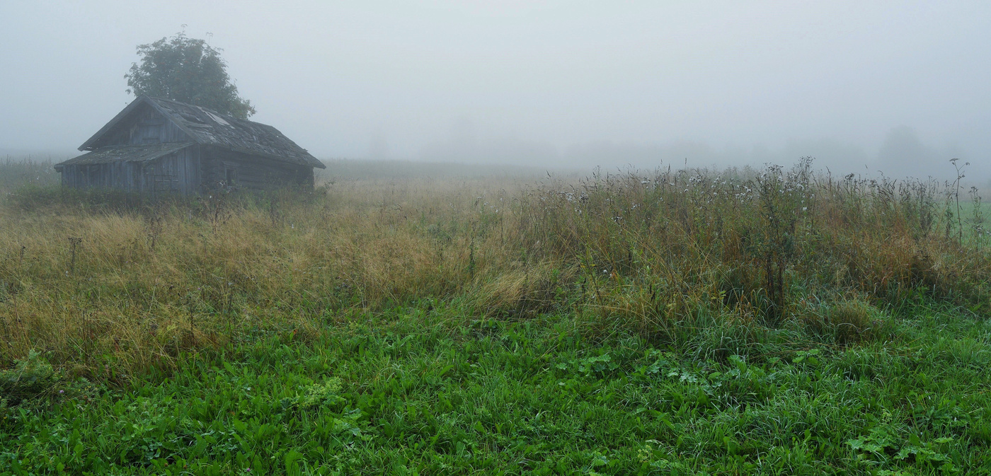 Зябкое утро ...