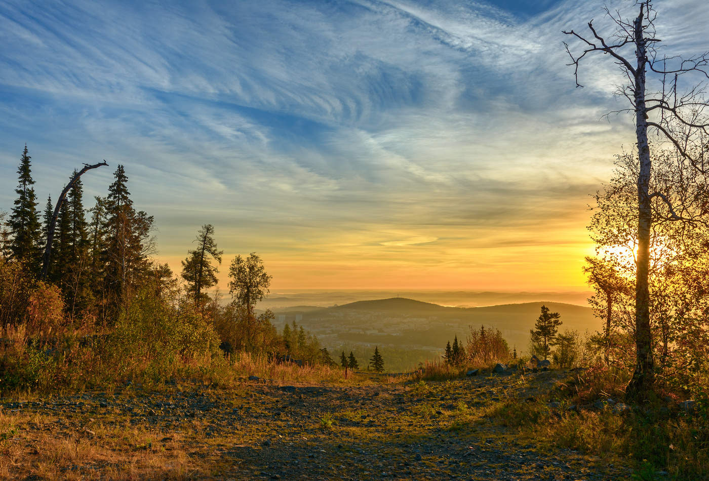 Утренние тени