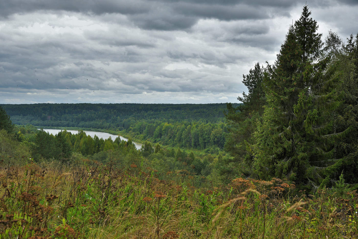 Скоро осень, за окнами август ...