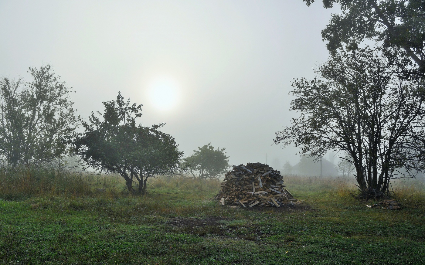 Тихое утро ...