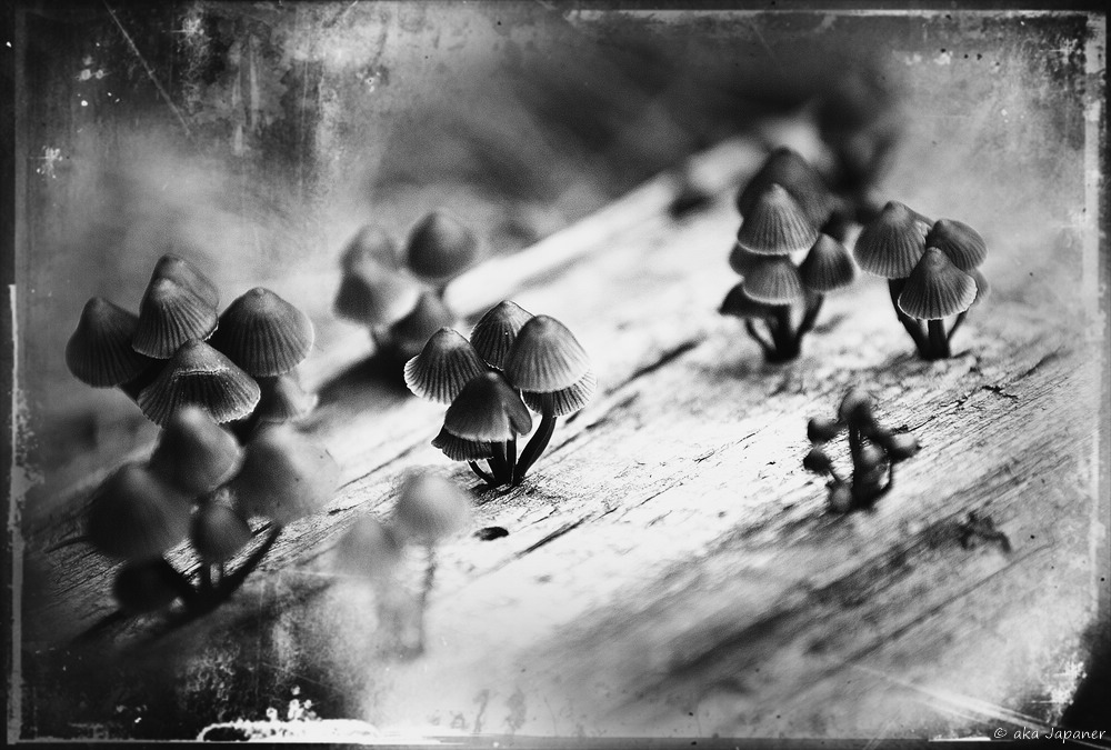 Девушки танцуют одни...