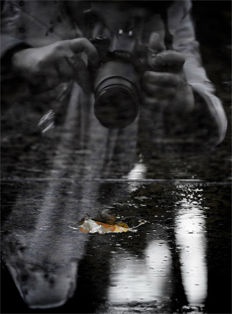 осенние этюды...