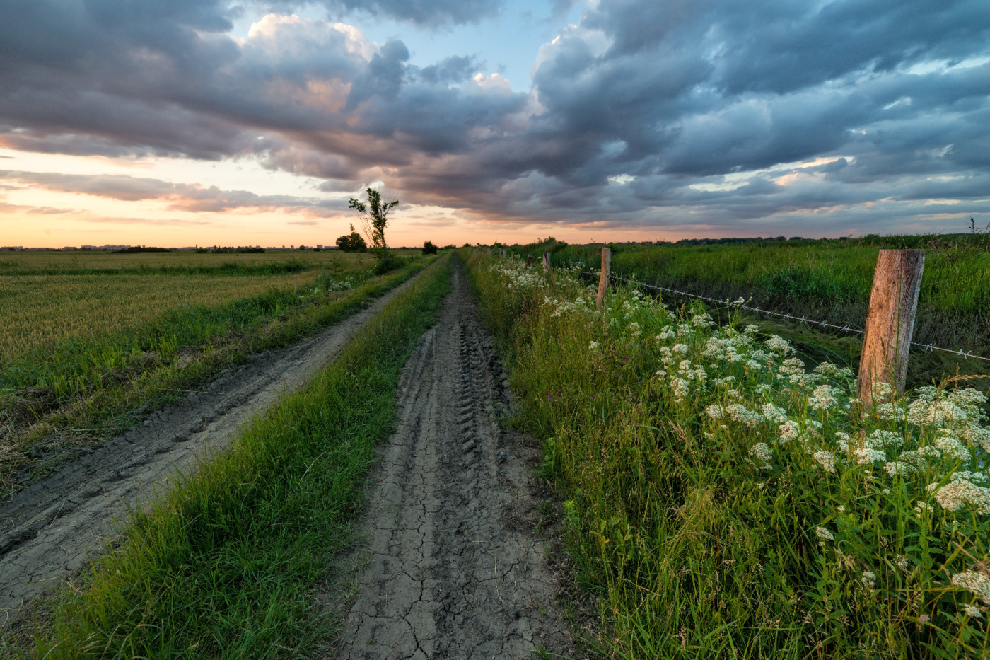 Лето , закат
