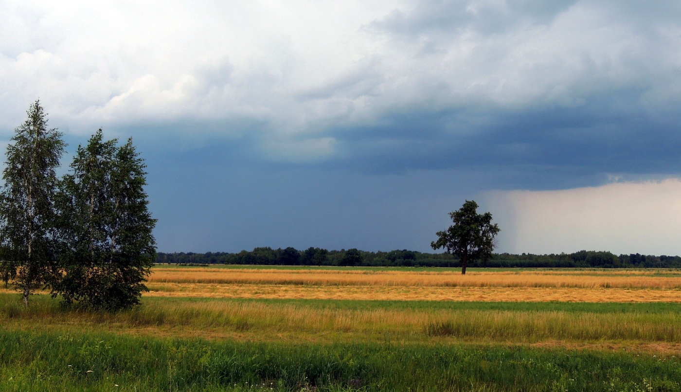 Время летнего дождя