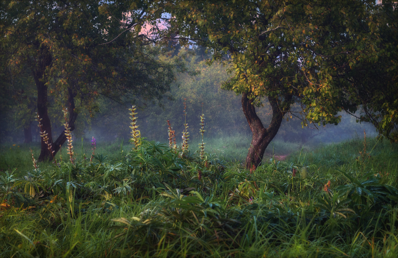 Вечерело после дождя
