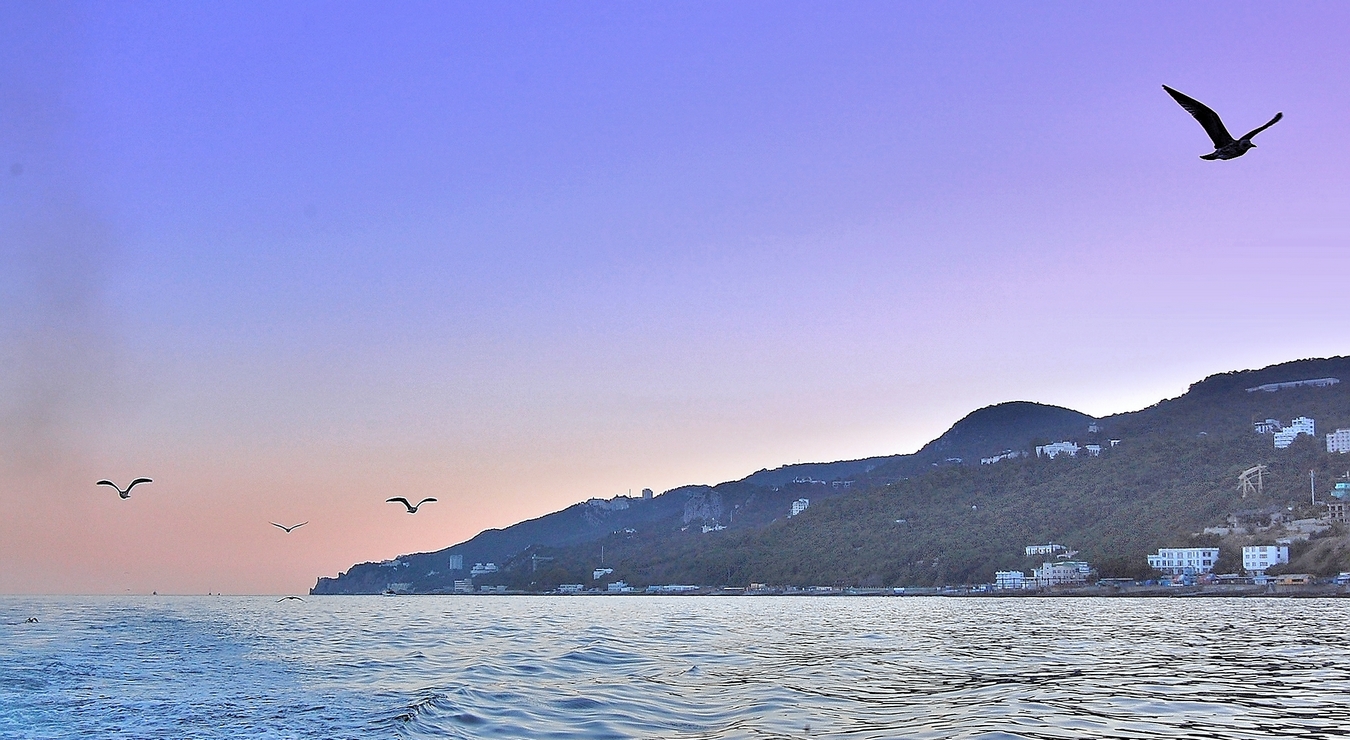 Вечерний моцион