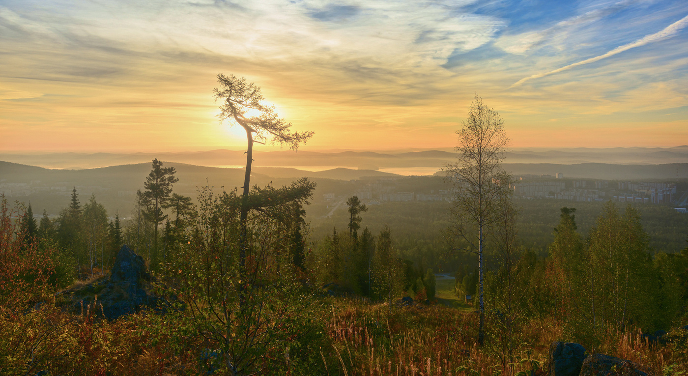 Туманное утро