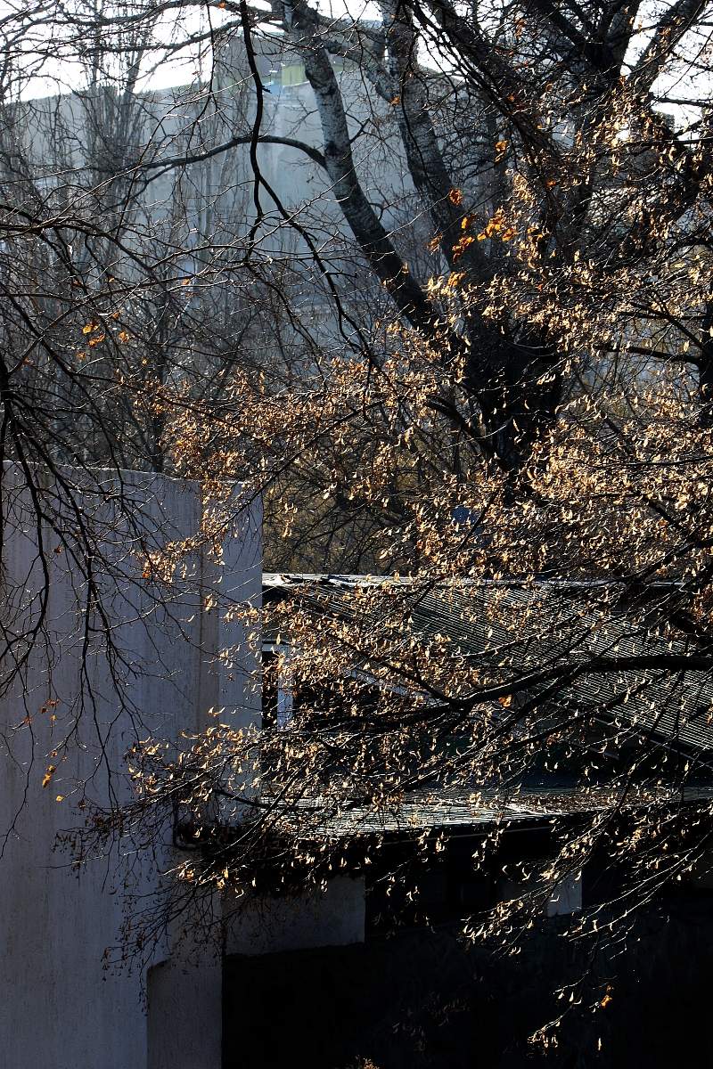 прозрачное