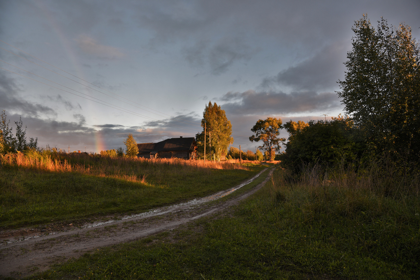 После дождичка в четверг ...