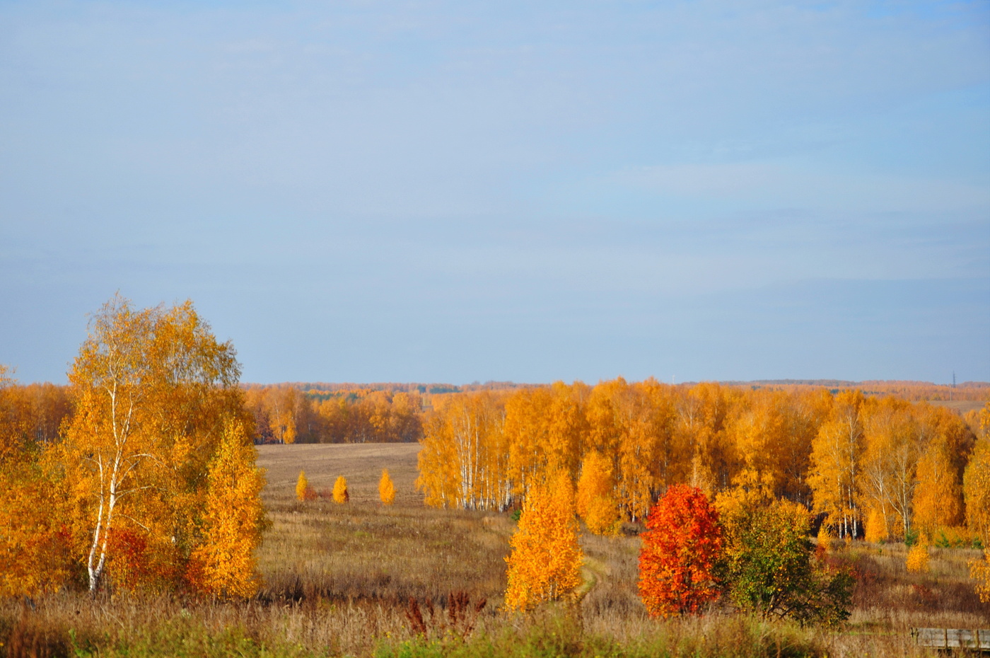 Приятна мне твоя прощальная краса...