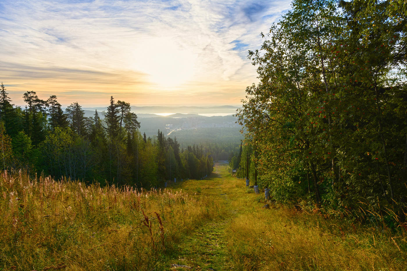 Зеленая тропинка