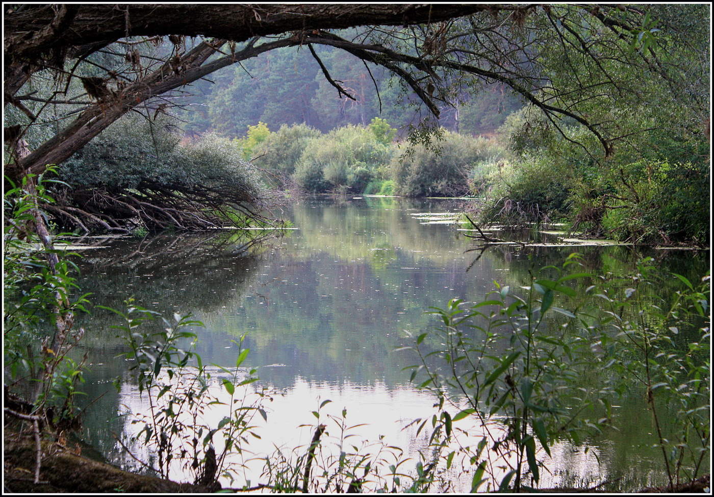 дикие берега