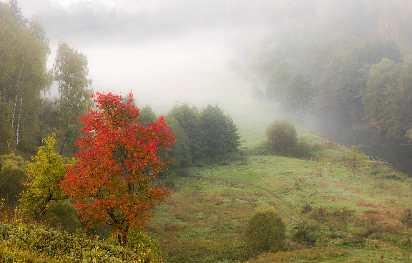 Первые краски осени