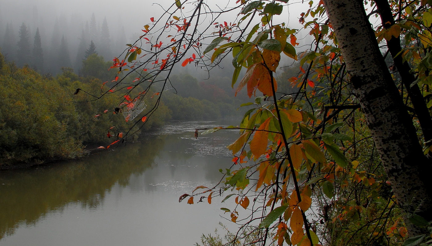 С добрым утром