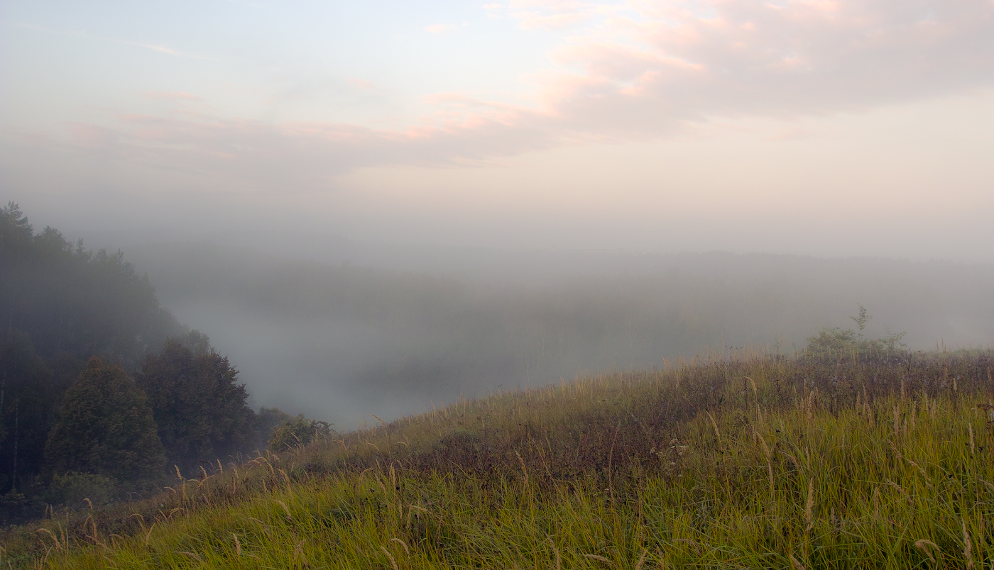 Розовое покрывало тумана