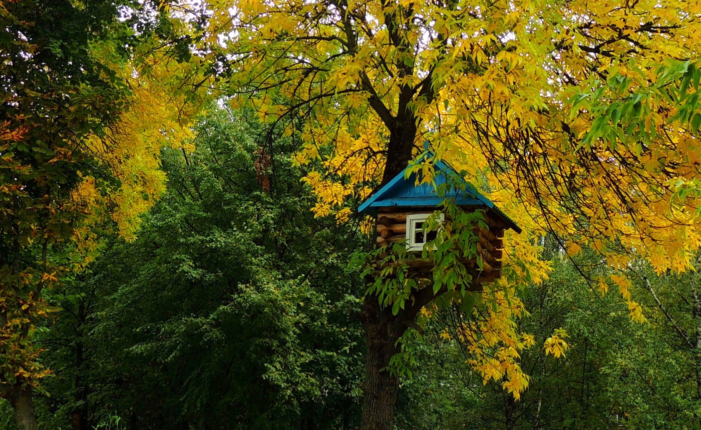 Осенняя сказка