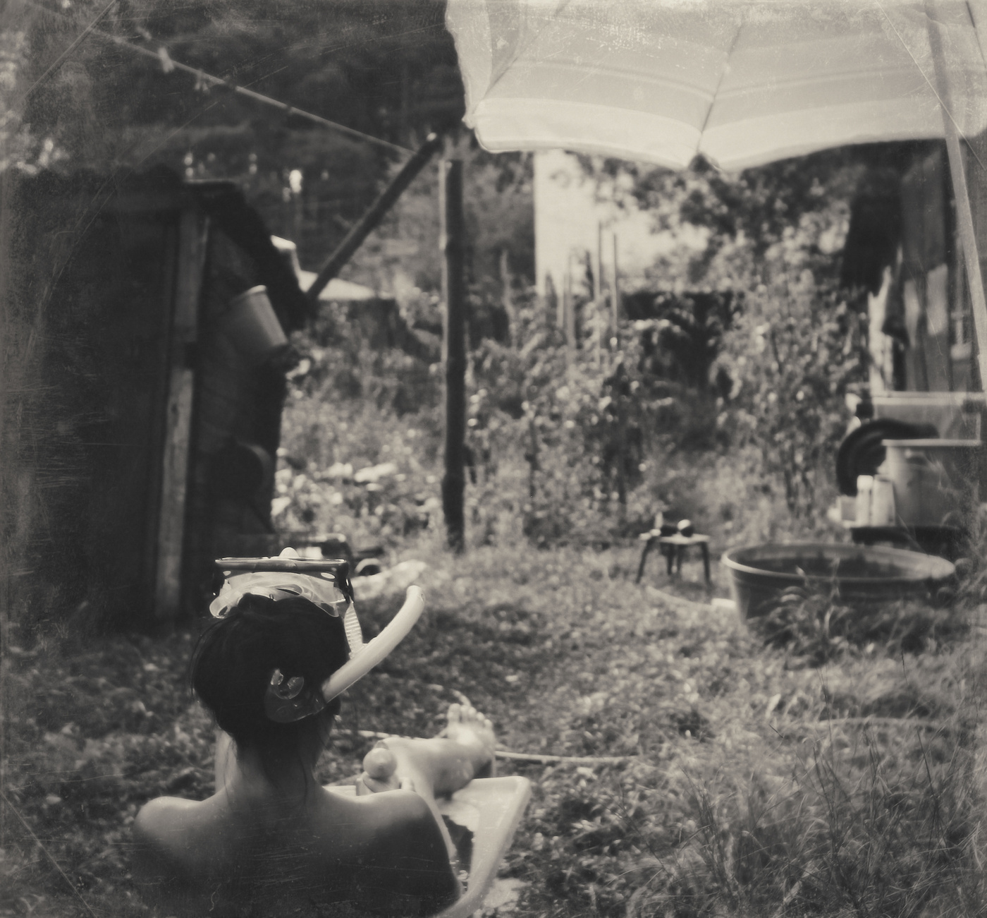 looking for the summer...