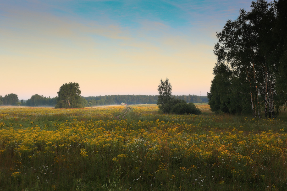 Перед рассветом