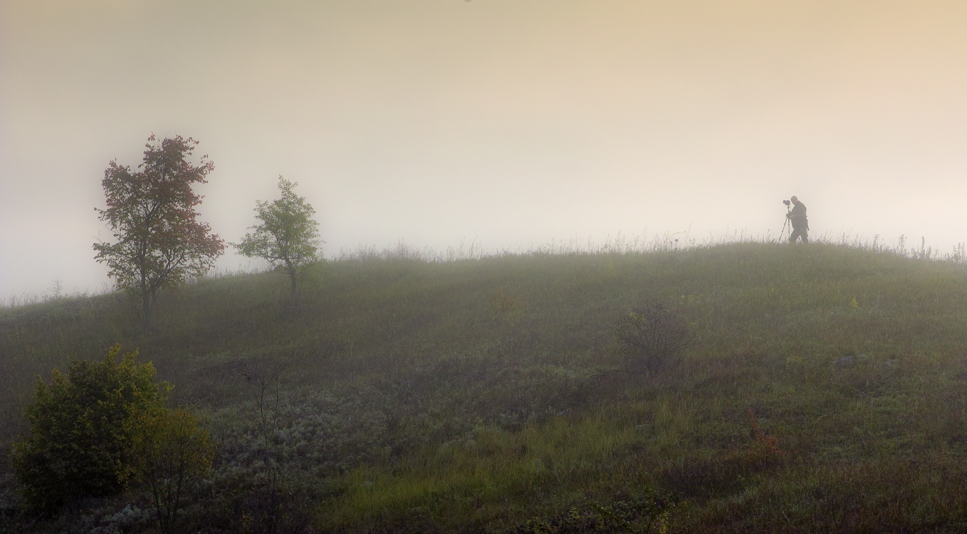 На туманном пленэ́ре.