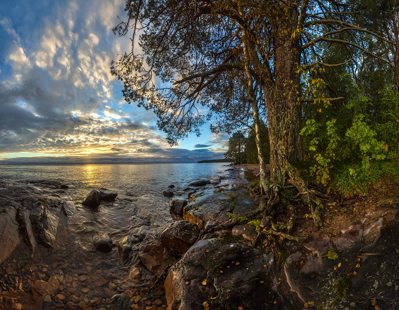 Ленинградский берег Онежского озера