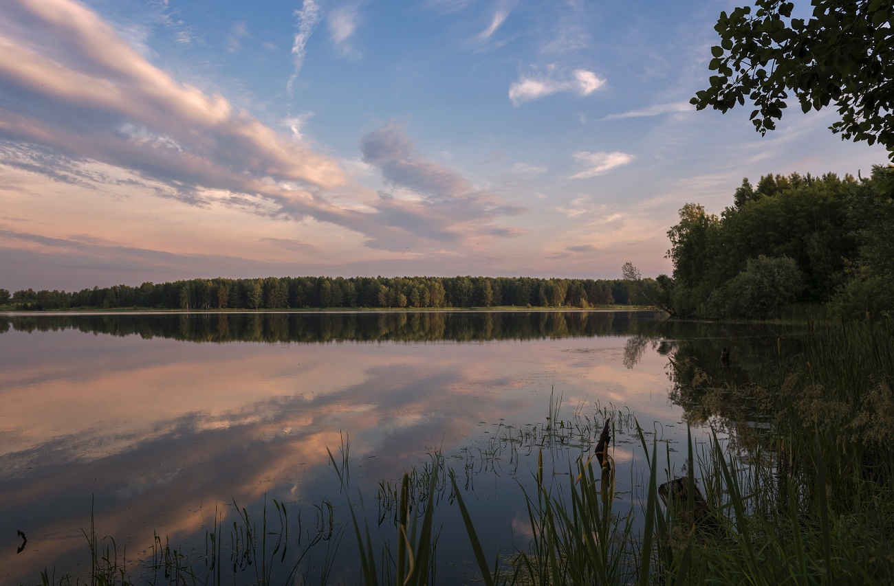 Воспоминания о лете
