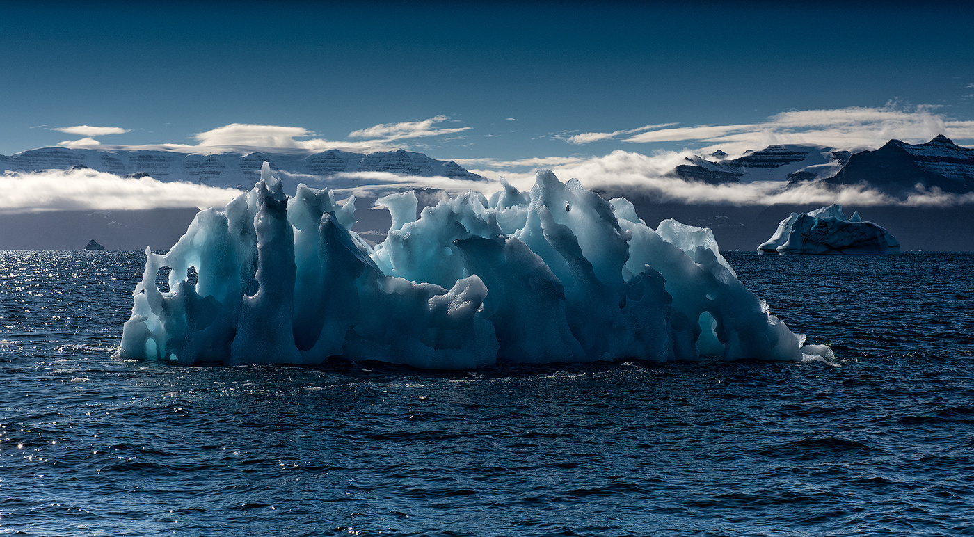 Ледяная жизнь