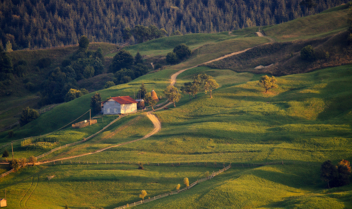 Сельско-Карпатская