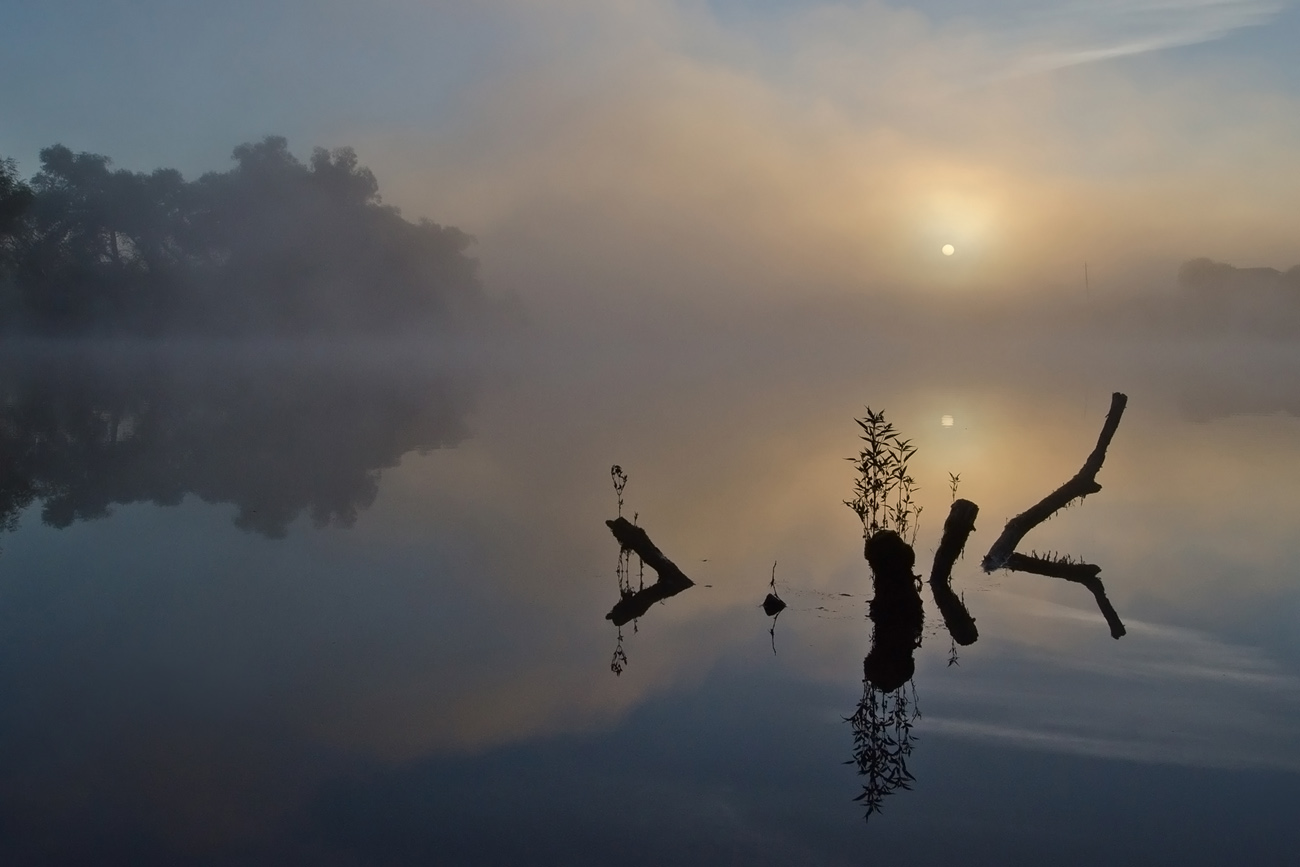 Спят коряги тёмные