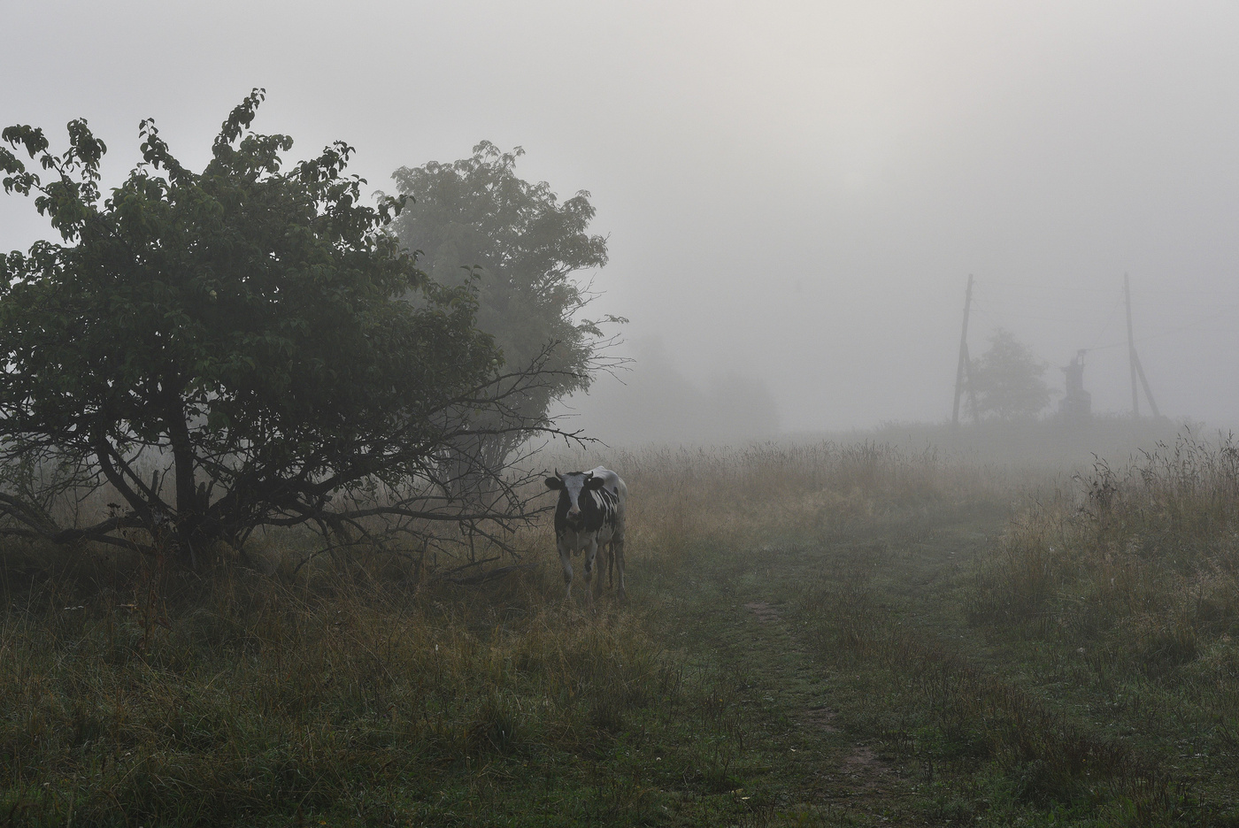Раннее утро ...